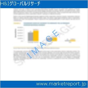市場と産業調査レポートのイメージ